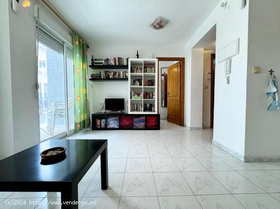  APARTAMENTO DE 1 DORMITORIO EN TORREVIEJA (ALICANTE) CERCA DEL MAR EN PLAYA DEL CURA - ALICANTE 