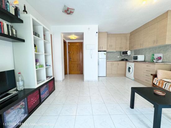 APARTAMENTO DE 1 DORMITORIO EN TORREVIEJA (ALICANTE) CERCA DEL MAR EN PLAYA DEL CURA - ALICANTE