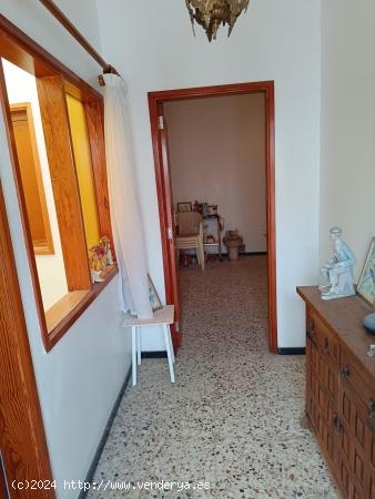 Se Vende en Las Palmas de Gran Canaria - LAS PALMAS