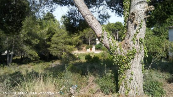 Suelo urbano en venta  en Cabra del Camp - Tarragona