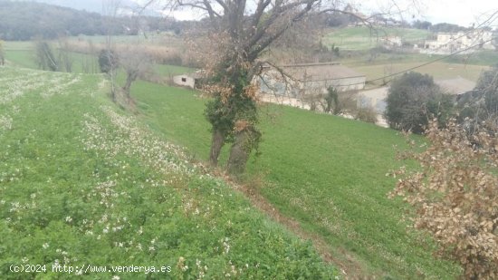 Suelo rústico en venta  en Llinars del Vallès - Barcelona