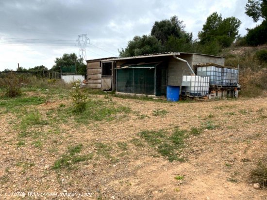 Suelo rústico en venta  en Bonastre - Tarragona