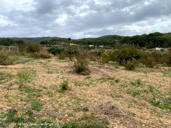 Suelo rústico en venta  en Bonastre - Tarragona