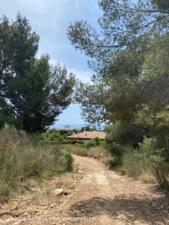 Suelo Urbanizable en venta  en Vendrell, El - Tarragona