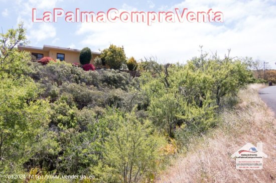 Suelo rústico en Venta en Puntagorda Santa Cruz de Tenerife