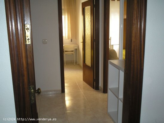  Apartamento en Alquiler en Murcia Murcia SAN BASILIO 