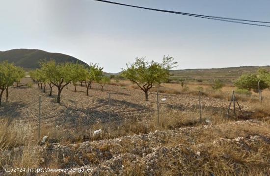 Parcela en barbarroja - ALICANTE