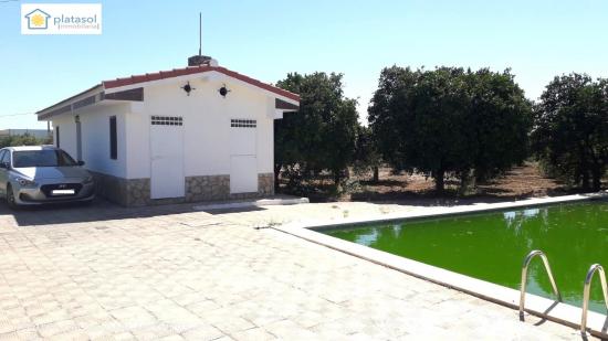 Finca rustica en La Algaba. - SEVILLA