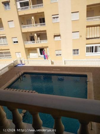  REBAJADO!!! TORREVIEJA 1 HAB PISCINA 57.000€ - ALICANTE 