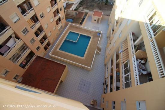 REBAJADO!!! TORREVIEJA 1 HAB PISCINA 57.000€ - ALICANTE