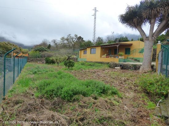 CASA CON FINCA EN LA OROTAVA, PINOLERE - SANTA CRUZ DE TENERIFE