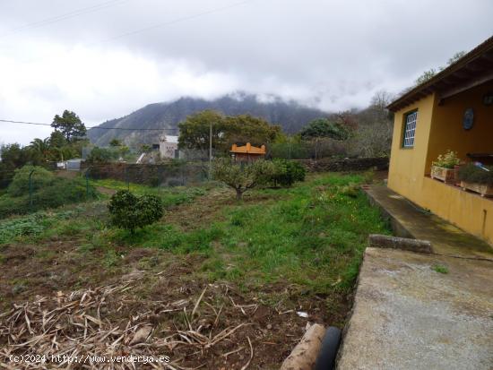 CASA CON FINCA EN LA OROTAVA, PINOLERE - SANTA CRUZ DE TENERIFE