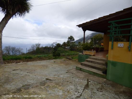 CASA CON FINCA EN LA OROTAVA, PINOLERE - SANTA CRUZ DE TENERIFE