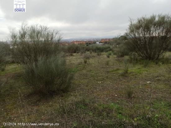 Estupendo terreno en la zona norte de Mérida - BADAJOZ