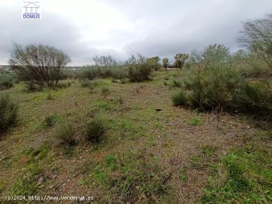 Estupendo terreno en la zona norte de Mérida - BADAJOZ