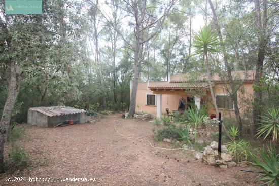 Finca Rústica en Venta - BALEARES