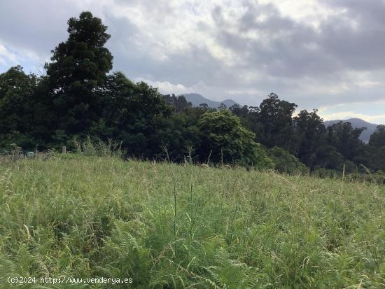 Terreno con proyecto de ejecución en camino Galeota, Beade - PONTEVEDRA