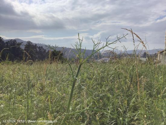 Terreno con proyecto de ejecución en camino Galeota, Beade - PONTEVEDRA