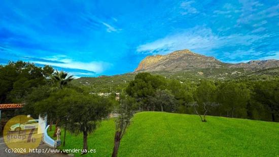 SE VENDE FINCA RUSTICA EN FINESTRAT PARA REFORMAR DE 6 DORMITORIOS - ALICANTE