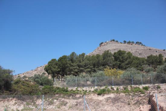 SOLAR EN URB. VISTA ALEGRE - GRANADA