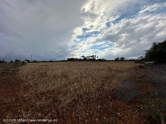 Se Vende en Santa Margalida - BALEARES