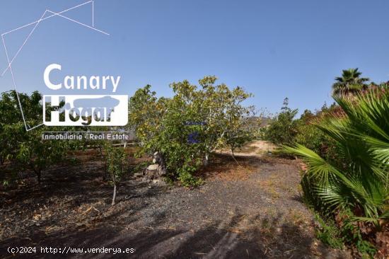 Finca en venta en Aldea Blanca con fantásticas vistas - SANTA CRUZ DE TENERIFE