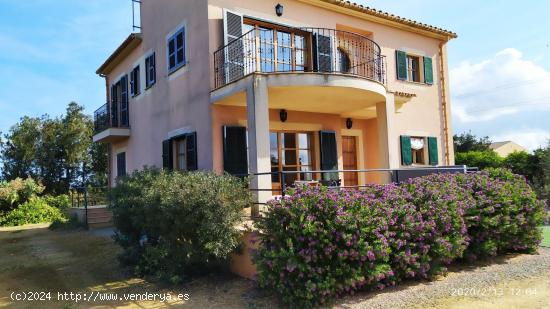 Finca rústica con cédula en Sa Pobla - BALEARES