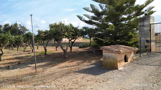 Finca rústica con cédula en Sa Pobla - BALEARES