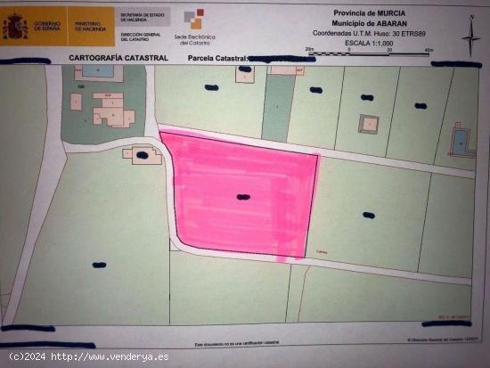 Venta Parcela Hoya Campo  3.800 metros con Agua Presion - MURCIA