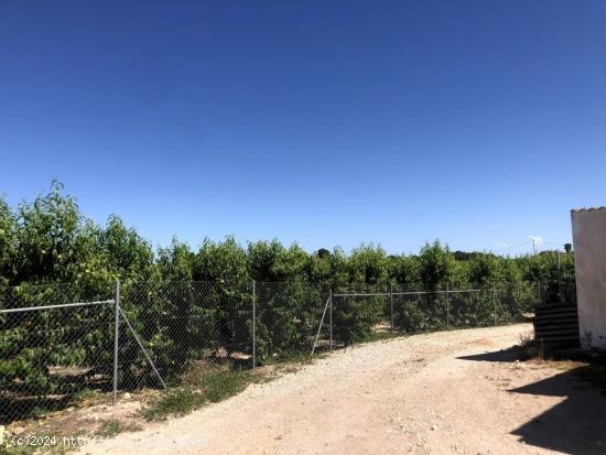 Venta Parcela Hoya Campo  3.800 metros con Agua Presion - MURCIA