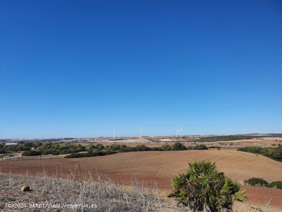 Finca Las Campaneras - CADIZ