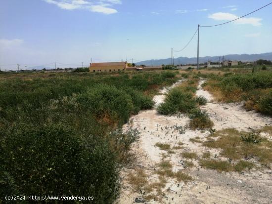 Parcela en Torrecilla, Lorca-Murcia - MURCIA