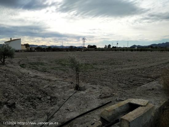 Parcela con acceso por carretera en el Esparragal de Puerto Lumbreras - MURCIA