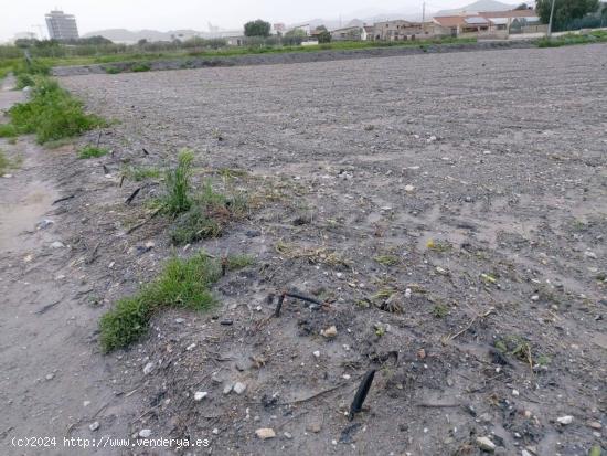 Terreno Rural en Lorca - Zona Torrecilla - MURCIA