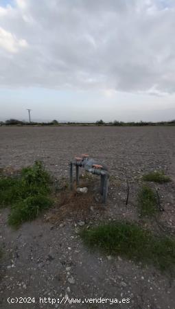 Terreno Rural en Lorca - Zona Torrecilla - MURCIA