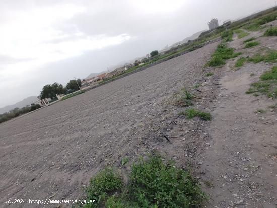 Terreno Rural en Lorca - Zona Torrecilla - MURCIA