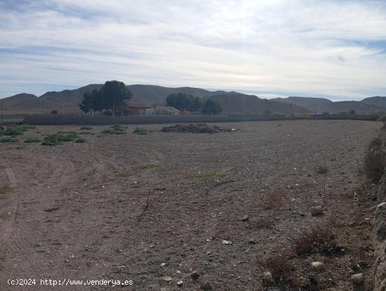 Parcela en la huerta de Puerto Lumbreras - MURCIA