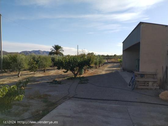 Terreno rústico con nave - Zona Parque Pocoyo - MURCIA