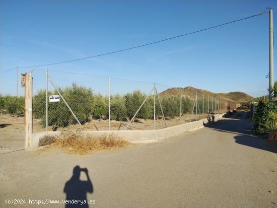 Terreno rústico con nave - Zona Parque Pocoyo - MURCIA