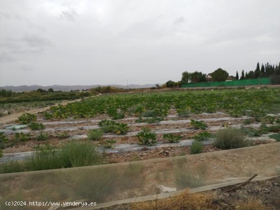 Parcela en Puerto Lumbreras - Zona Cuatro Caminos - MURCIA