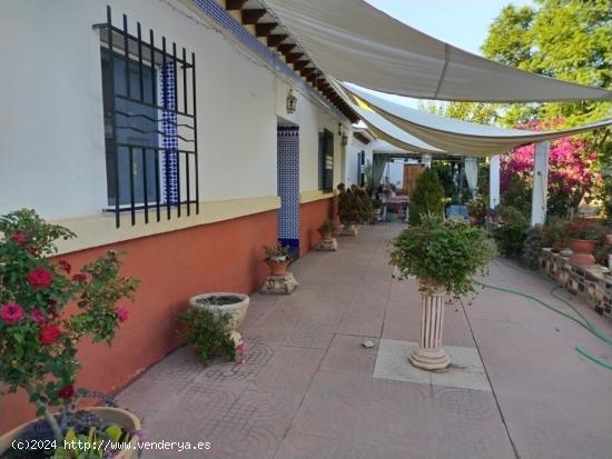 Casa de campo en Puerto Lumbreras - Zona Motos Sánchez - MURCIA