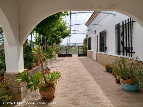 Casa en Campillo - MURCIA