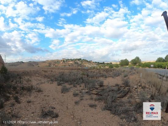 FINCA RÚSTICA IDEAL PARA PLANTACIÓN AGRICOLA - MURCIA