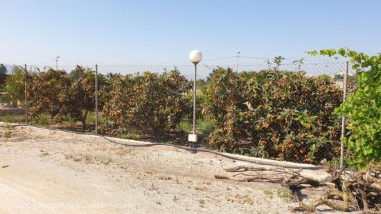 Terreno urbano Esparragal - MURCIA