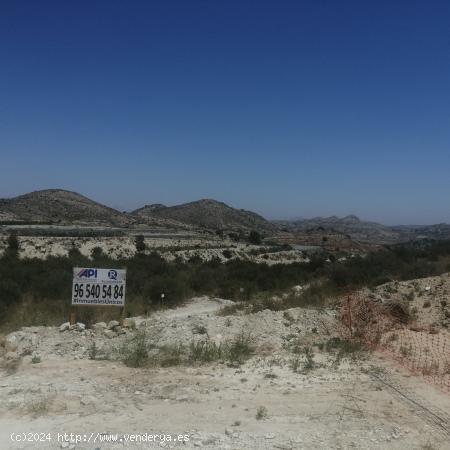 PARCELA EN LA GARGANTA - ALICANTE