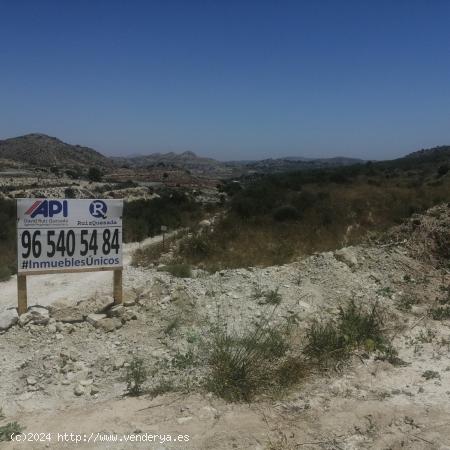 PARCELA EN LA GARGANTA - ALICANTE