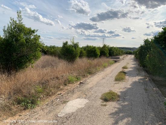  Venta de Finca Rústica en Partida Foyes Manuel - VALENCIA 