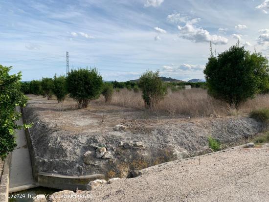 Venta de Finca Rústica en Partida Foyes Manuel - VALENCIA