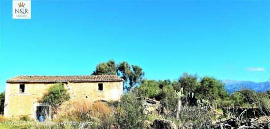 FINCA RÚSTICA BINISSALEM. 44.000 M2 PARC. CASA 130 M2 A REFORMAR. POZO AGUA VENA. 479.000 € - BAL