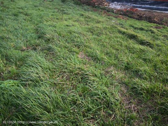 Terreno Urbano en Seaia - Malpica - A CORUÑA